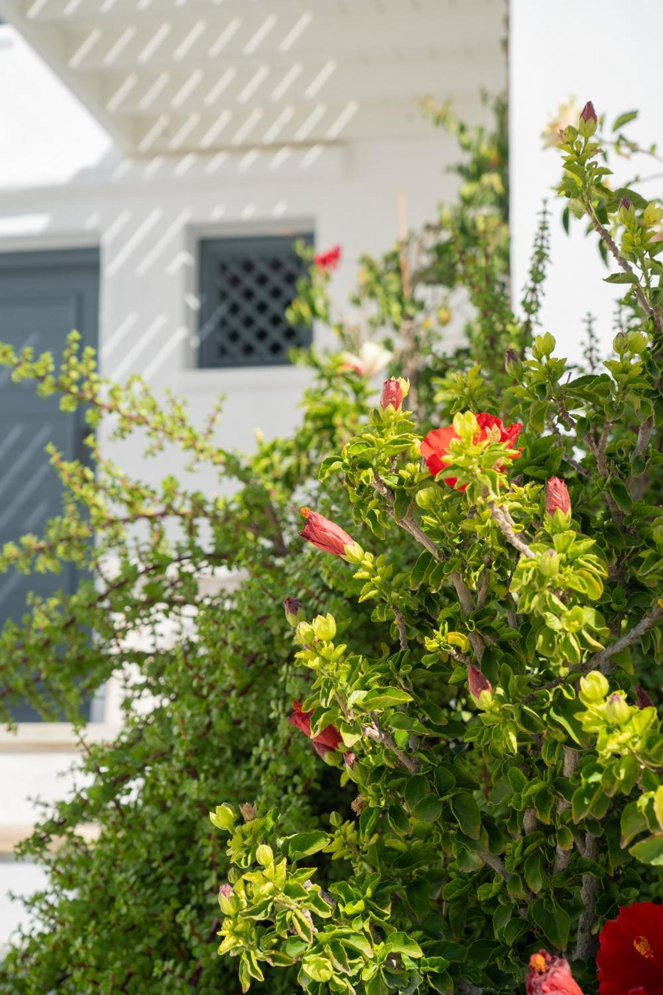 5 Traditional Suites Livadi  Eksteriør billede